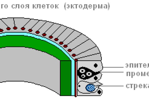 Омг про